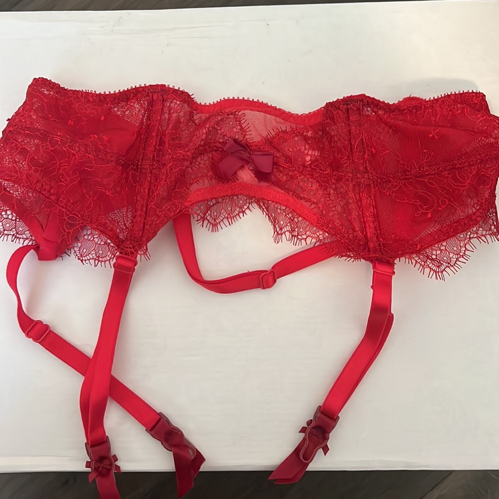 NWOT Bra and Garter belt - Picture 5 of 7